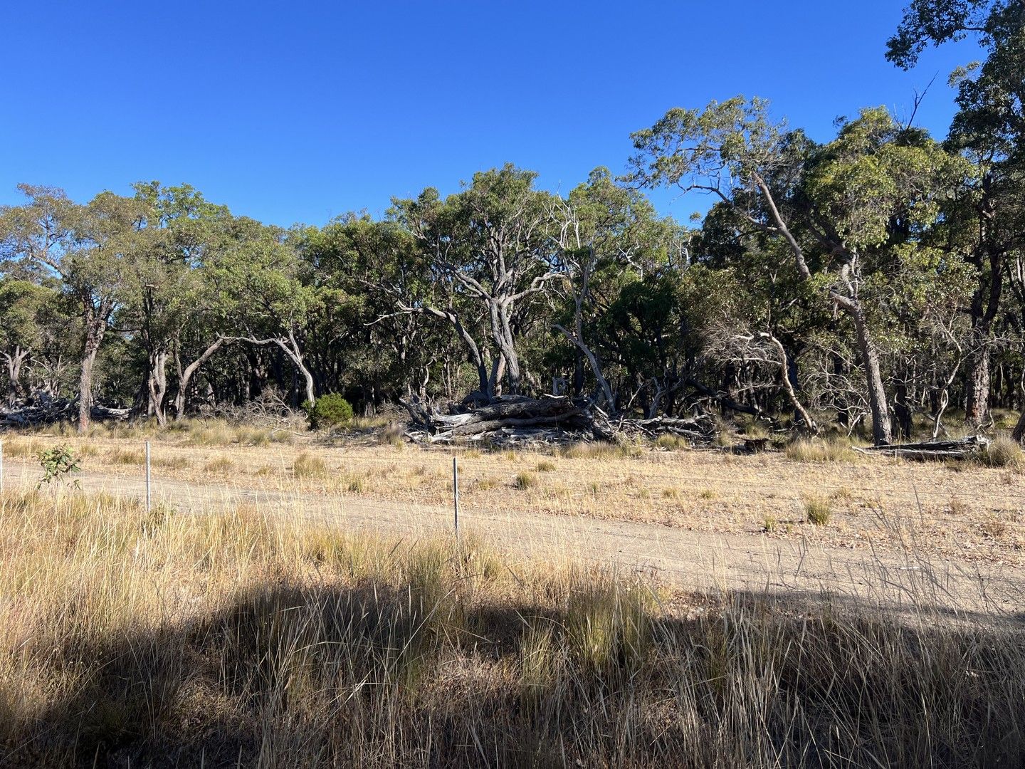 Lot 664 & Lot 2093 Horne Rd, Mount Barker WA 6324, Image 0