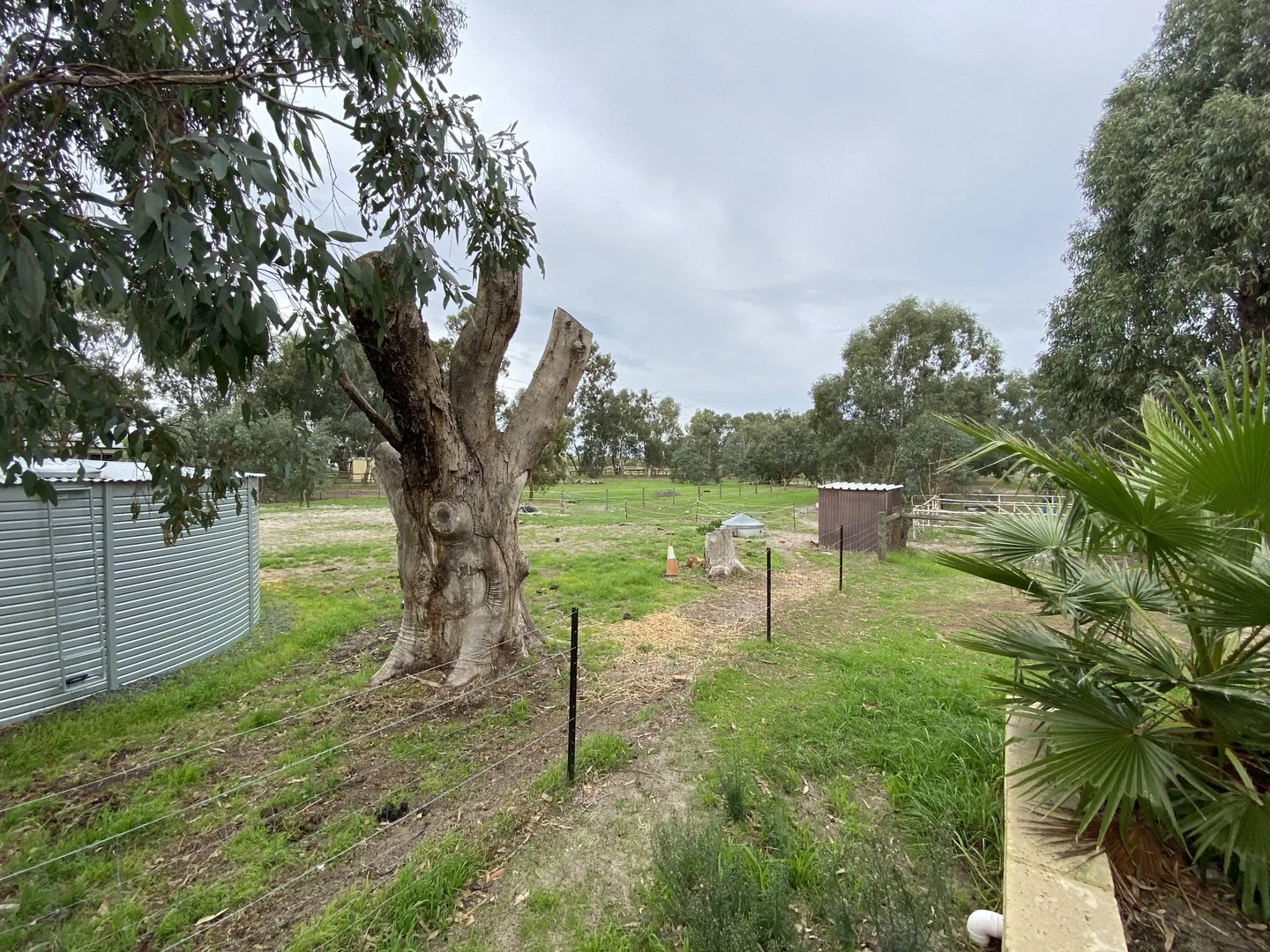 Primary image of 16 Hanlin Road, Forrestdale WA 6112