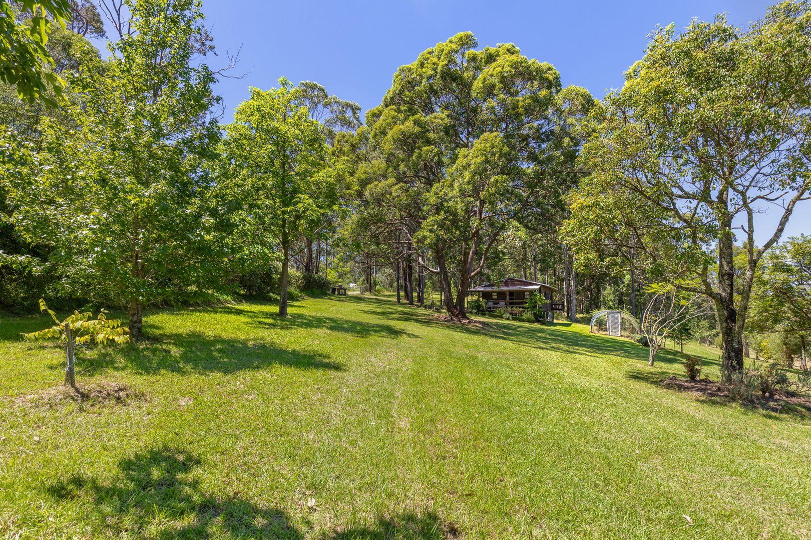 249 Wangat Trig Road, Dungog NSW 2420 House for Sale Domain