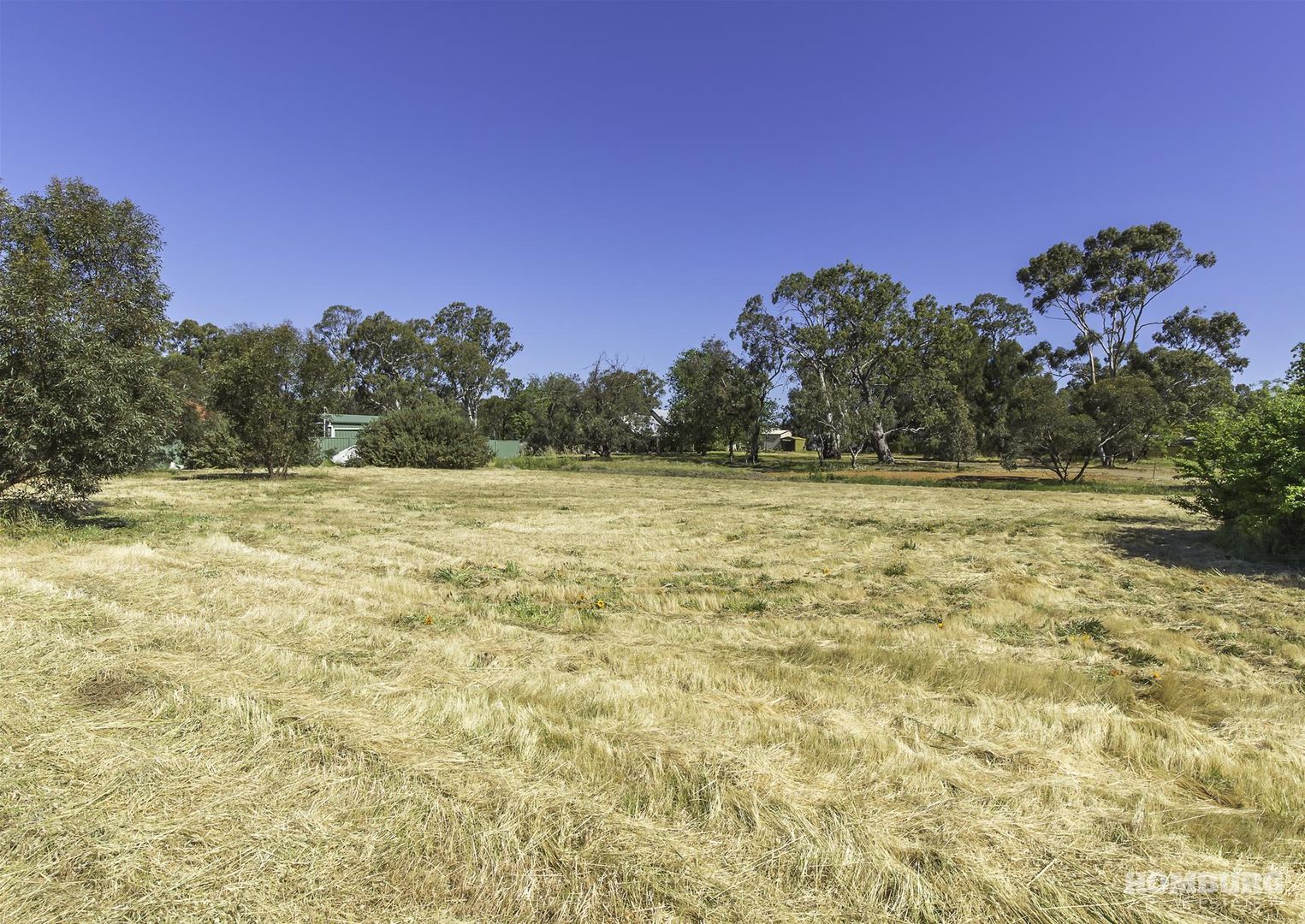 Lot 300 Sandalwood Drive, Nuriootpa SA 5355, Image 2