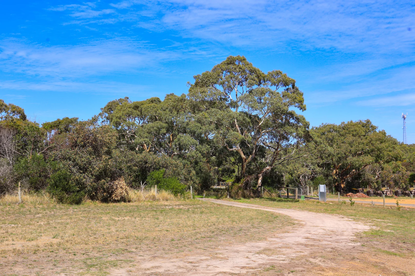 Image 10