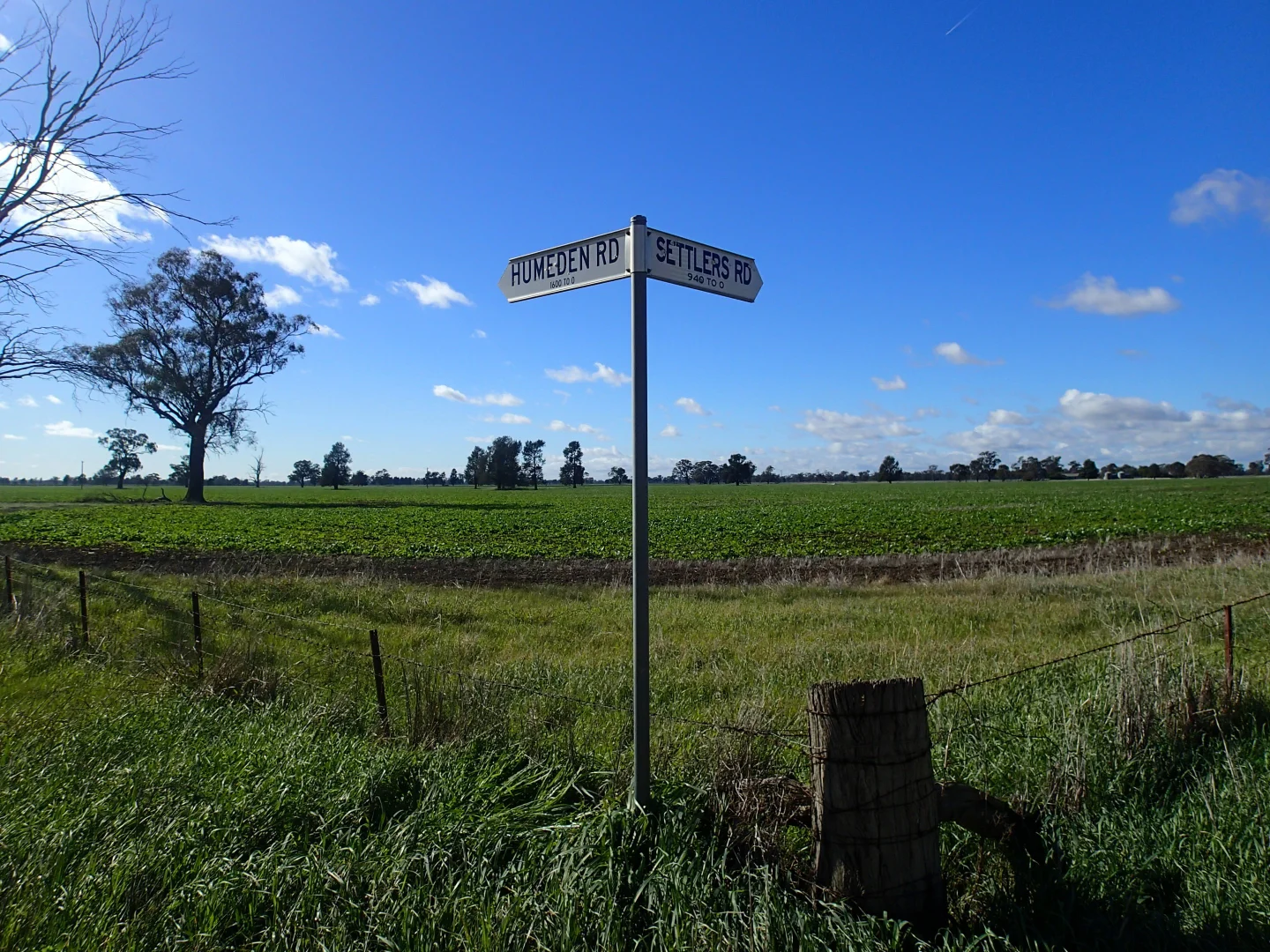 Image 10