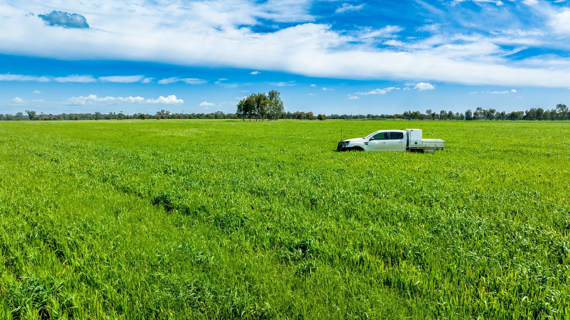 'Arden Vale' Walbundrie Road, Walla Walla NSW 2659, Image 0