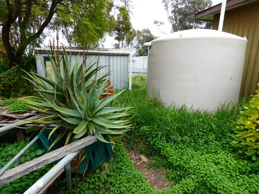 Image 16