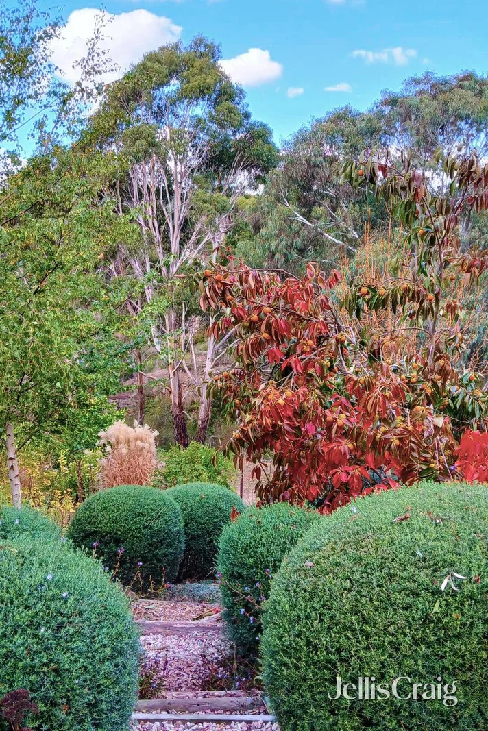 Image 21