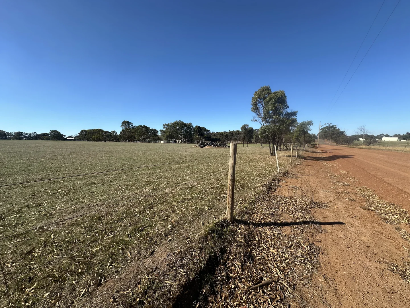 Image 10