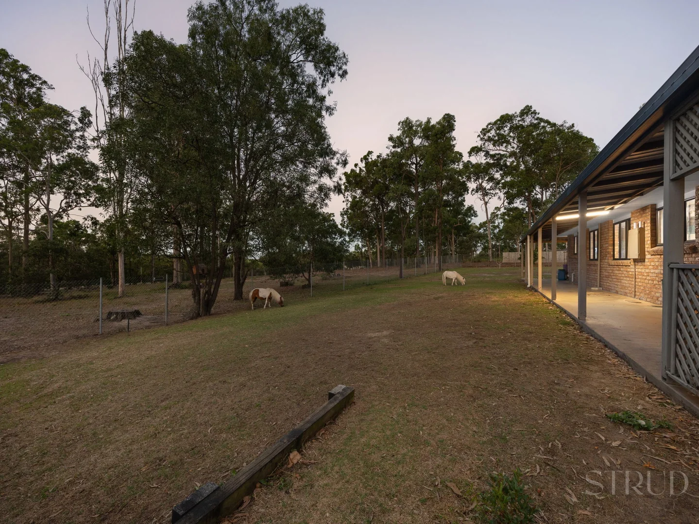 Image 22