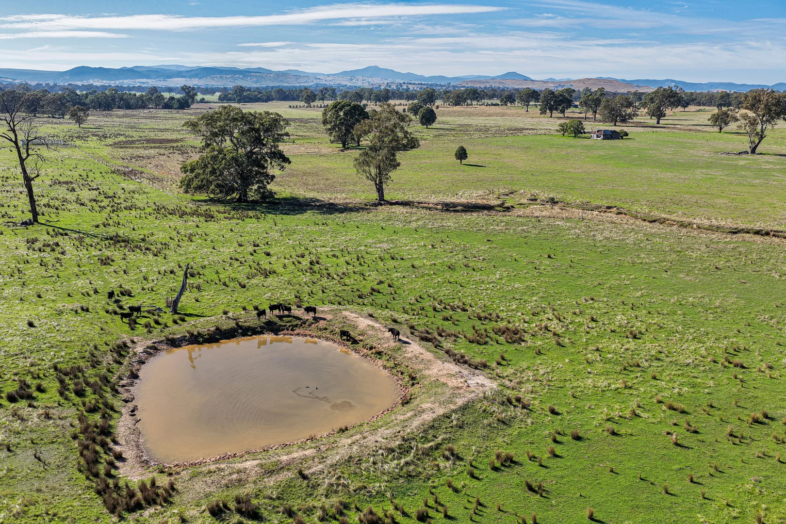 Additional image 6 of Lot 1 Midland Highway, Mansfield VIC 3722