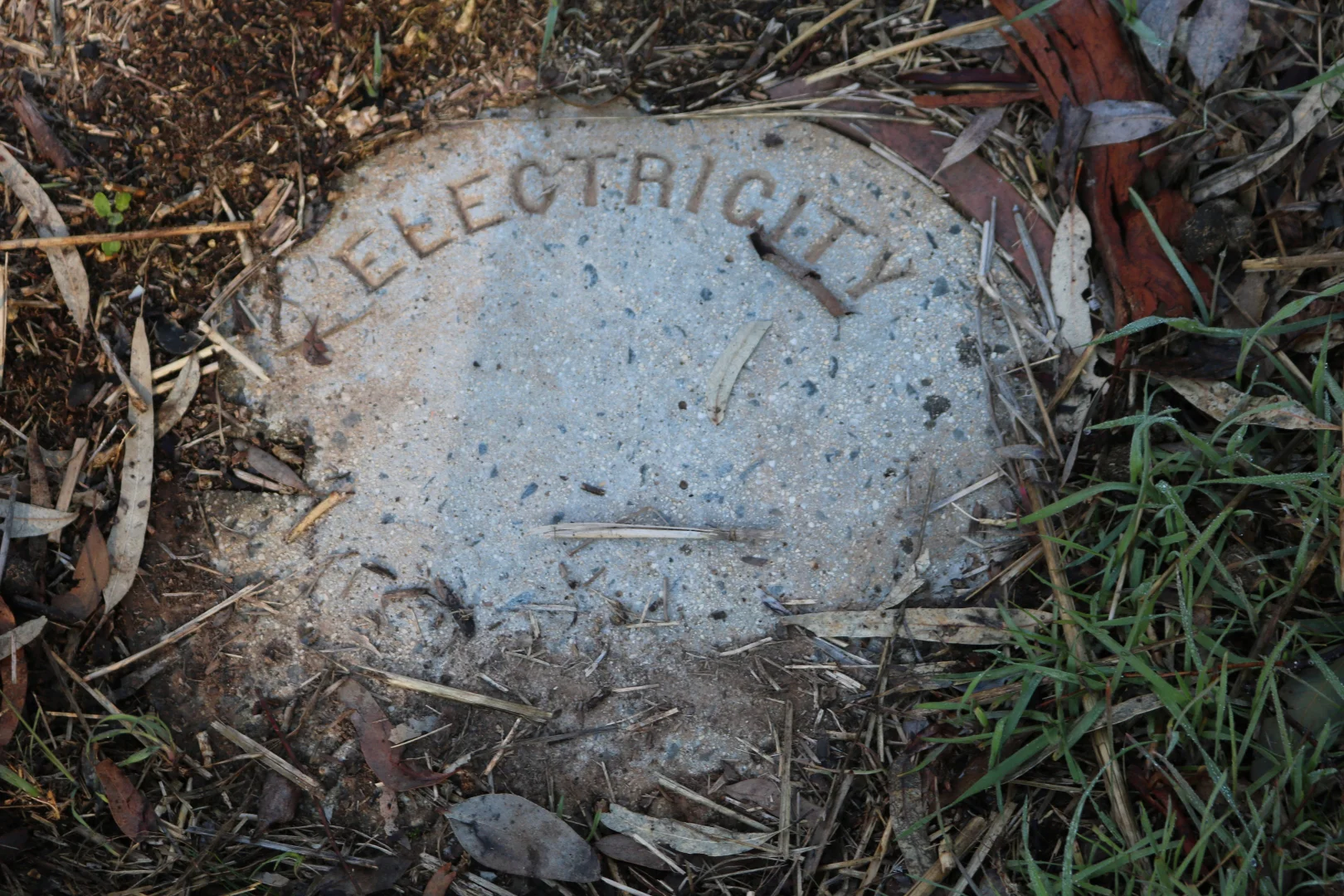 Image 15