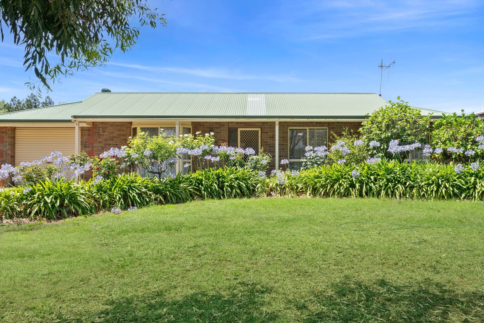 55 Hughes Avenue, Paringa SA 5340, Image 1