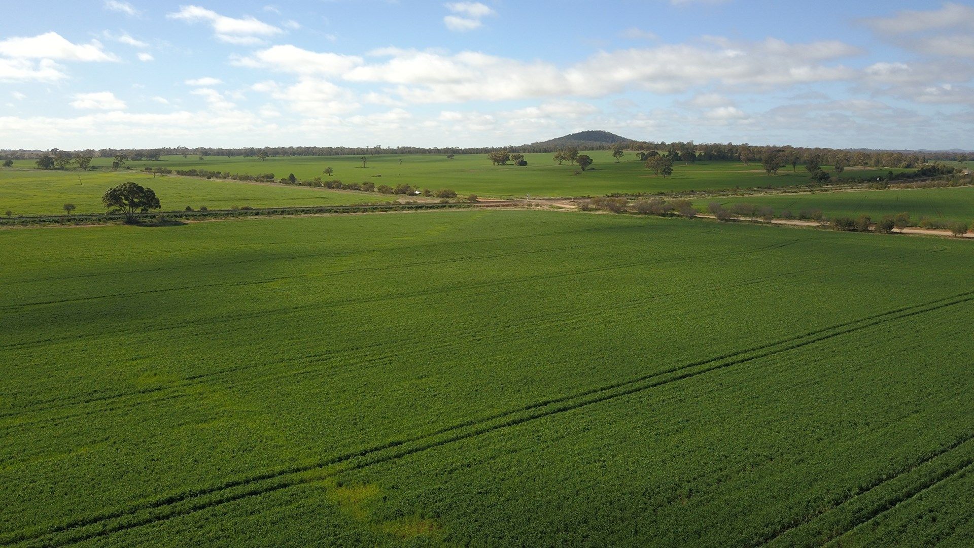 29 & 137 Timmins Lane, Condobolin NSW 2877 Specialist Farm for Sale