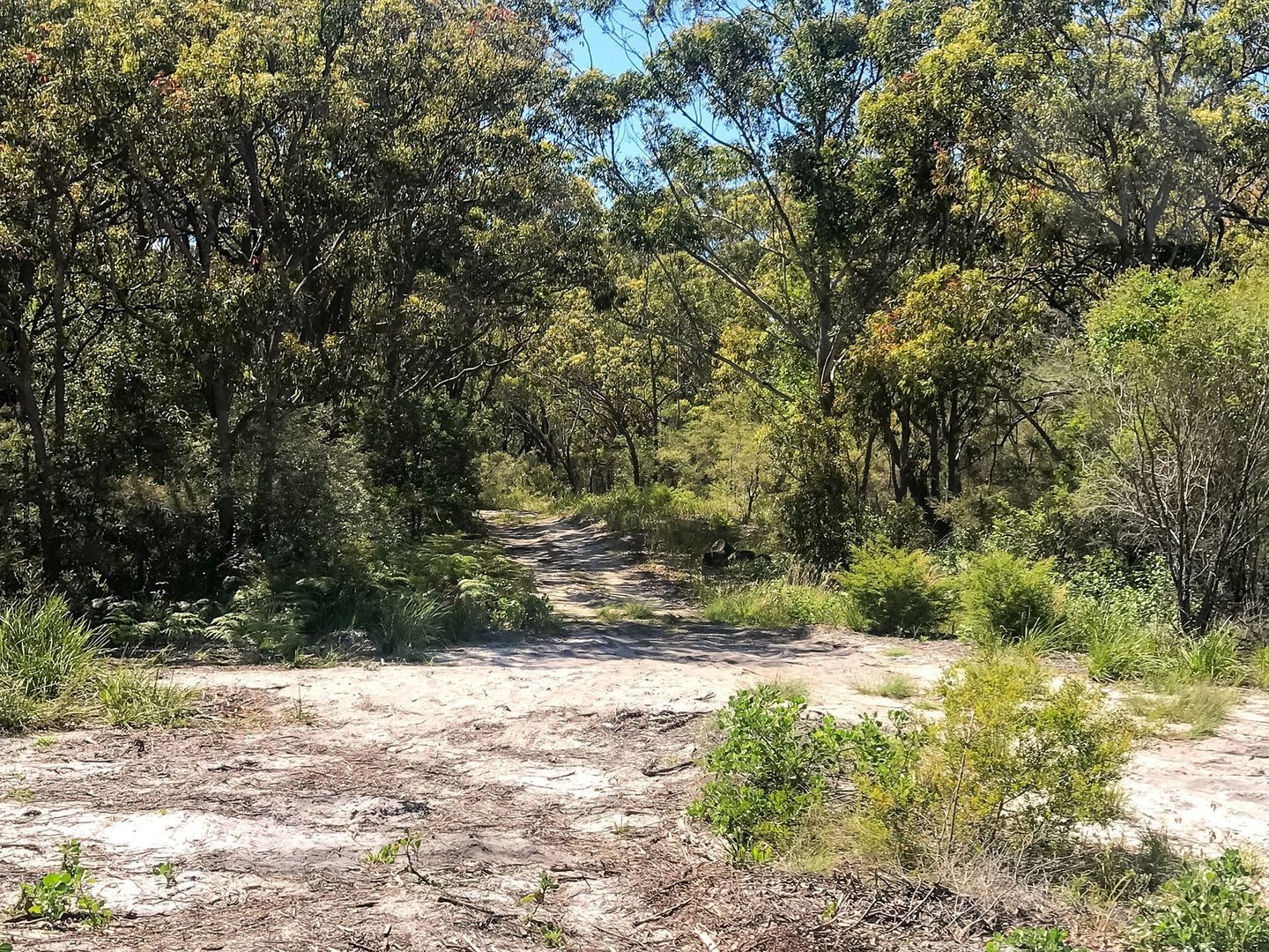 247 (Lot 105) Mungo Brush Road, Hawks Nest NSW 2324, Image 1