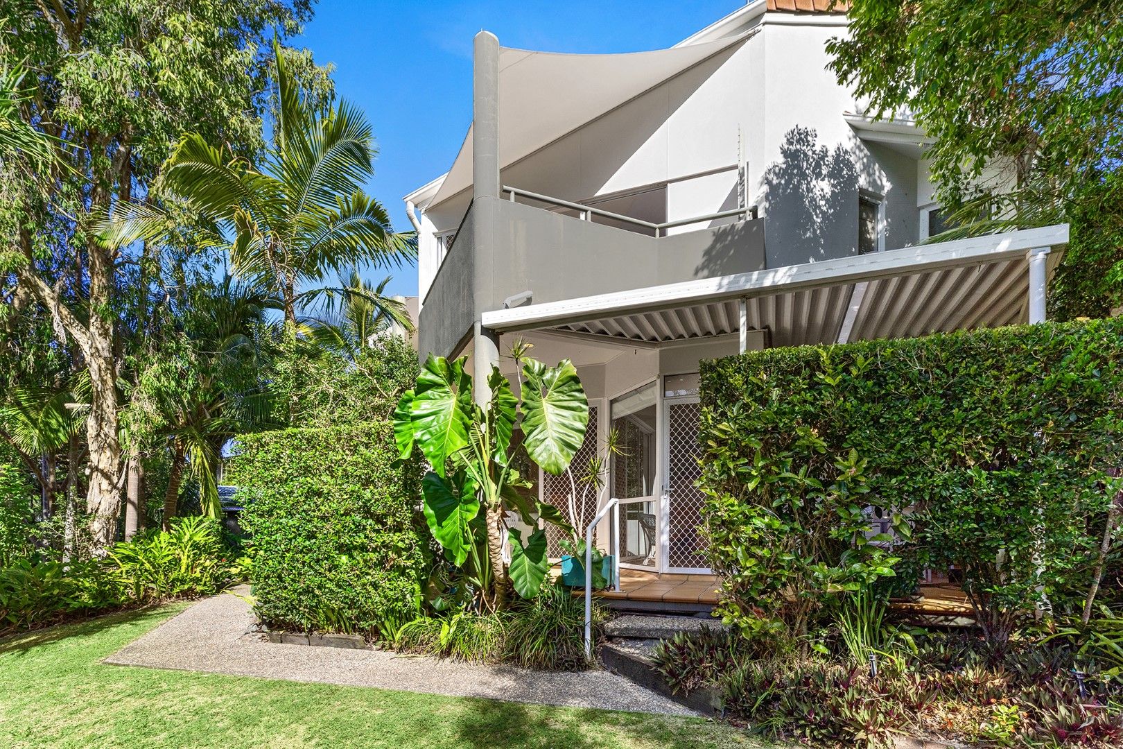 3/1 Ferris Street, Sunshine Beach QLD 4567 - Apartment For Rent | Domain