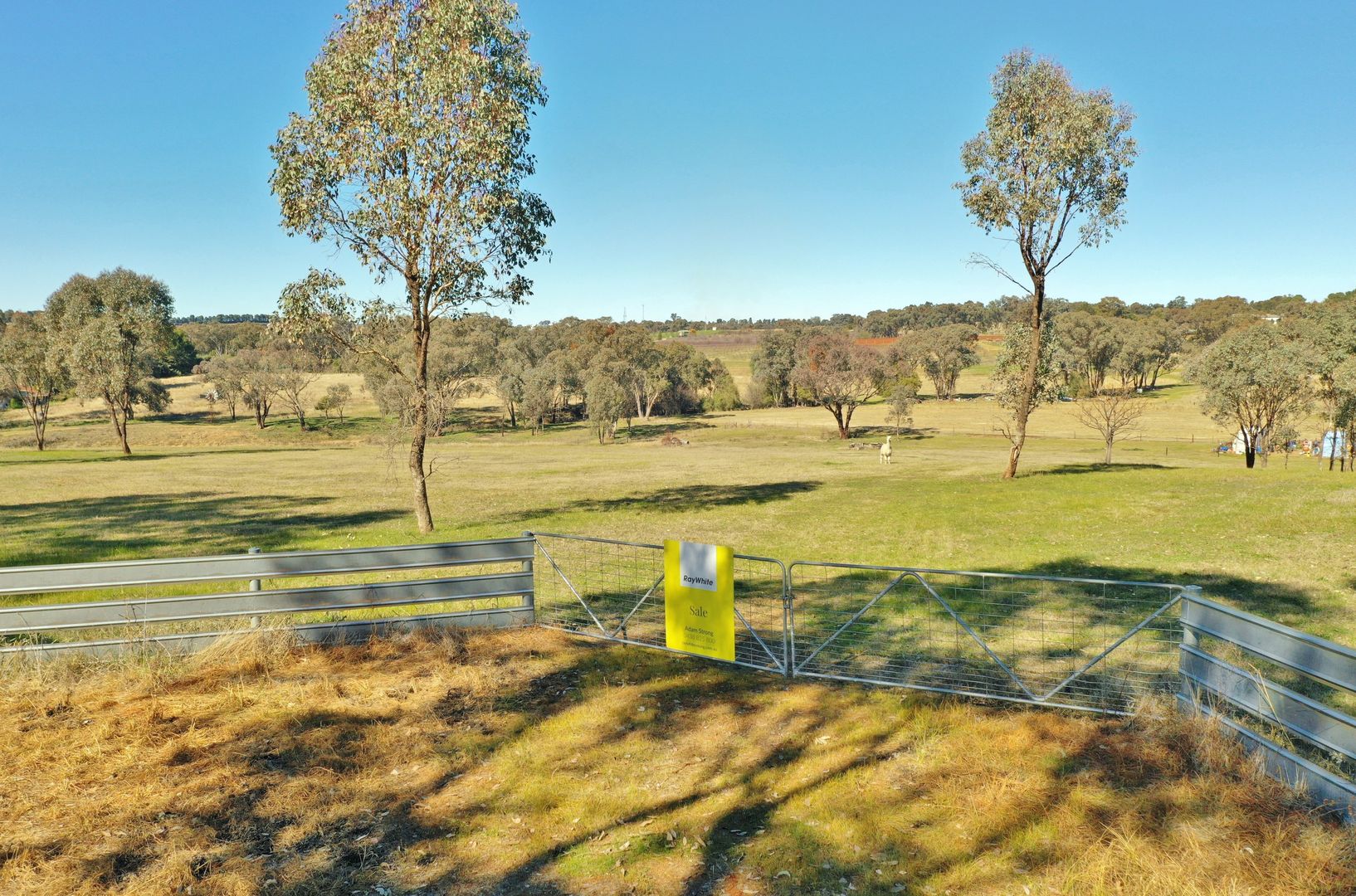 Lot 1986 Reynolds Lane, Young NSW 2594, Image 1