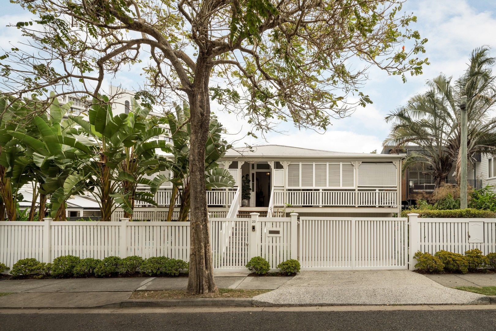 23 Hazlewood Street, New Farm QLD 4005, Image 0