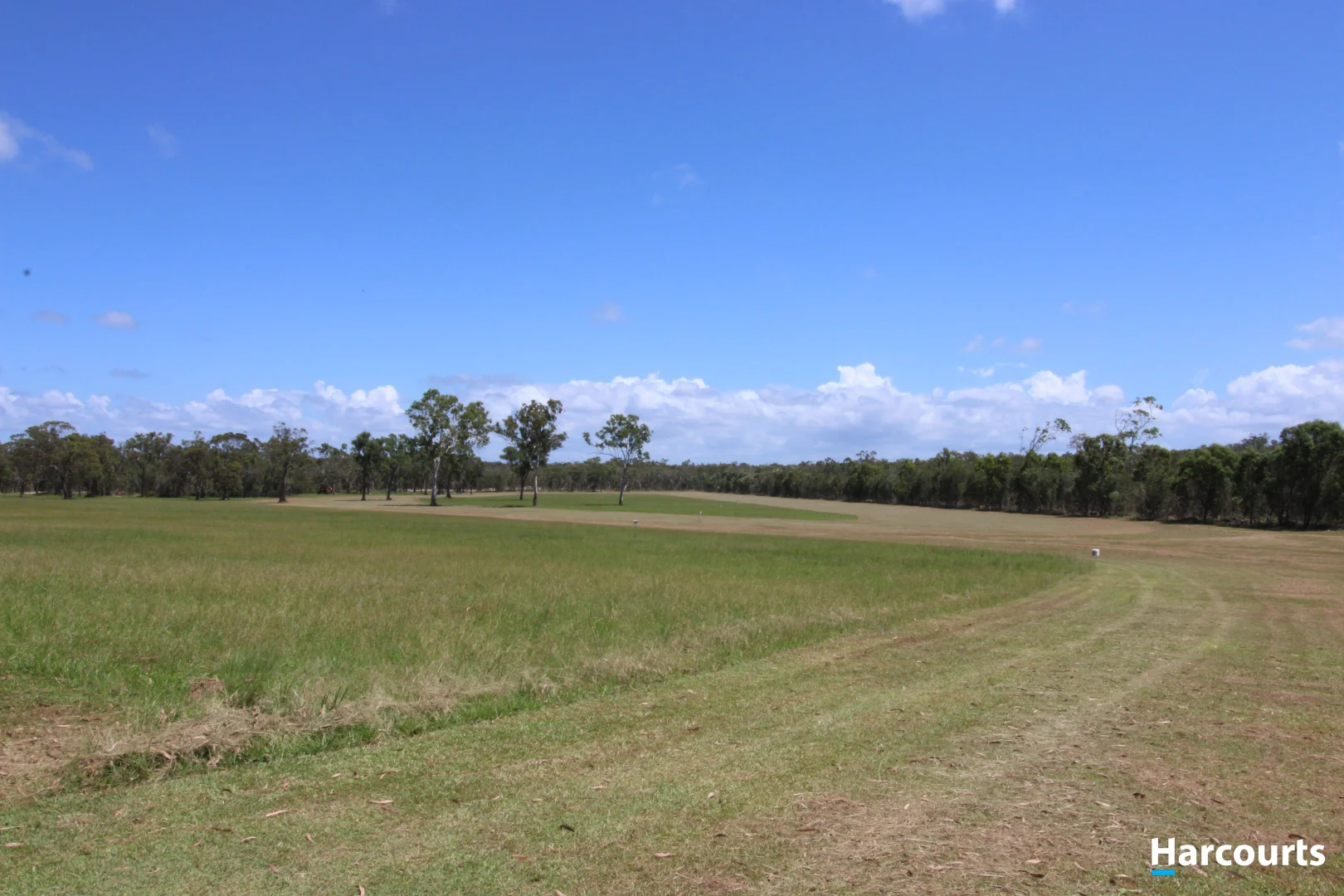 Image 16