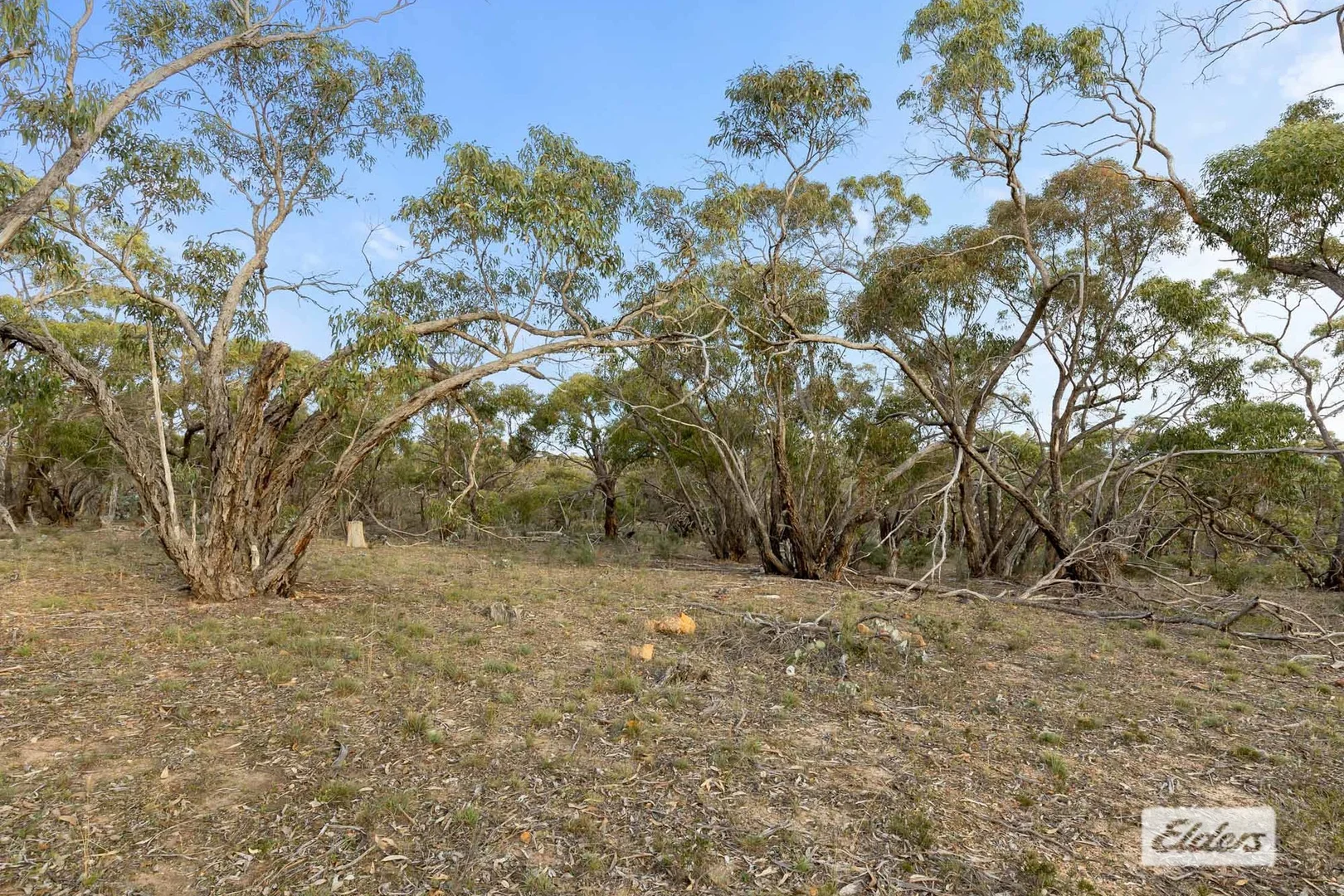 Image 12