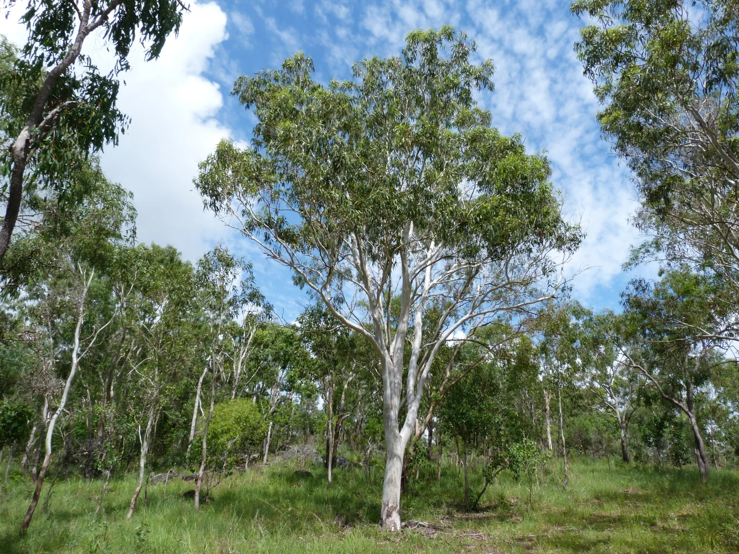 Image 33