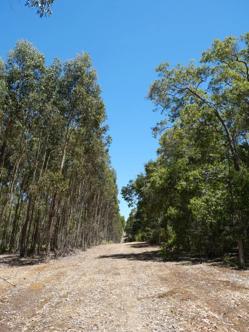 Image 10