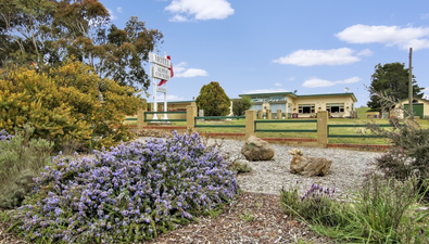 Picture of 651 Snowy Mountains Highway, PINE VALLEY NSW 2630