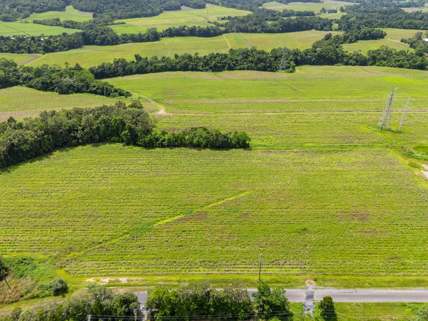 Additional image 19 of Cassowary Road, Cassowary QLD 4873