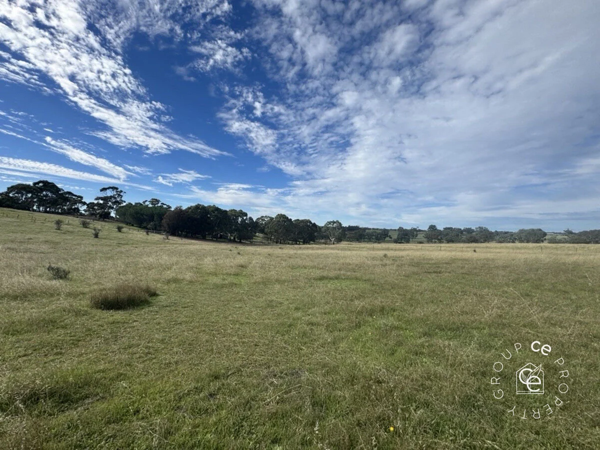 Image 14