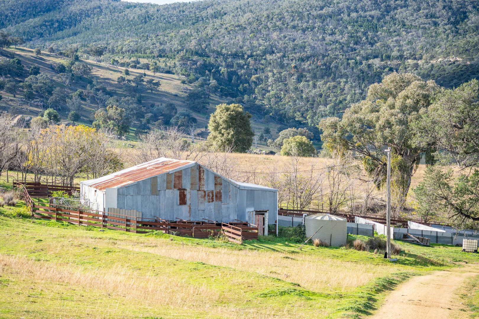 Image 14