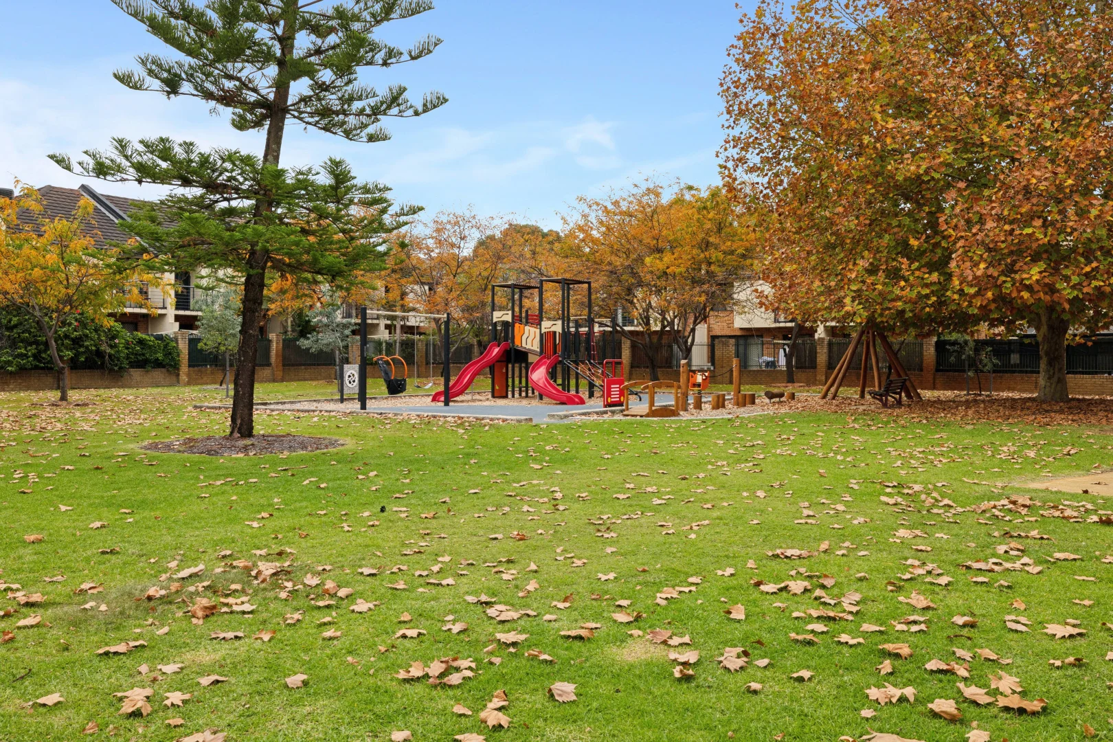 Image 31
