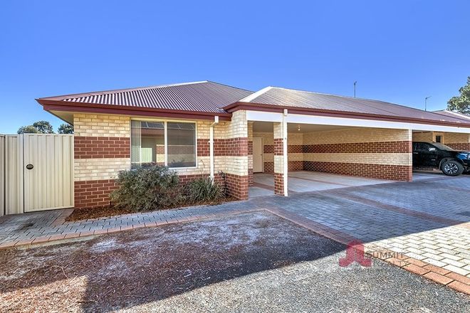 Picture of 6/8 Ash Mews, COLLIE WA 6225