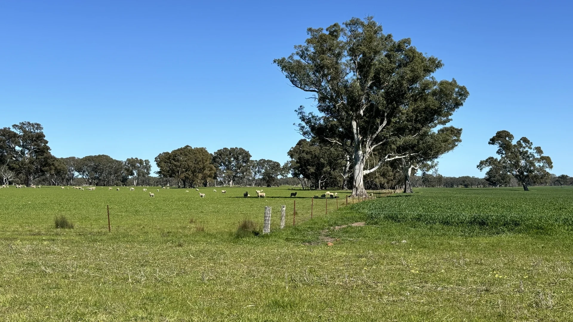 Image 30