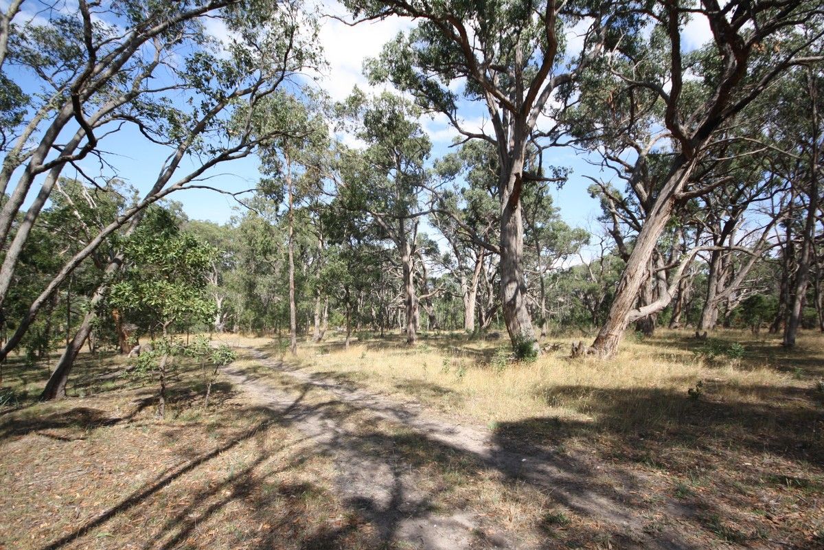 Lot 4 Silverwattle Drive, Invermay VIC 3352, Image 2