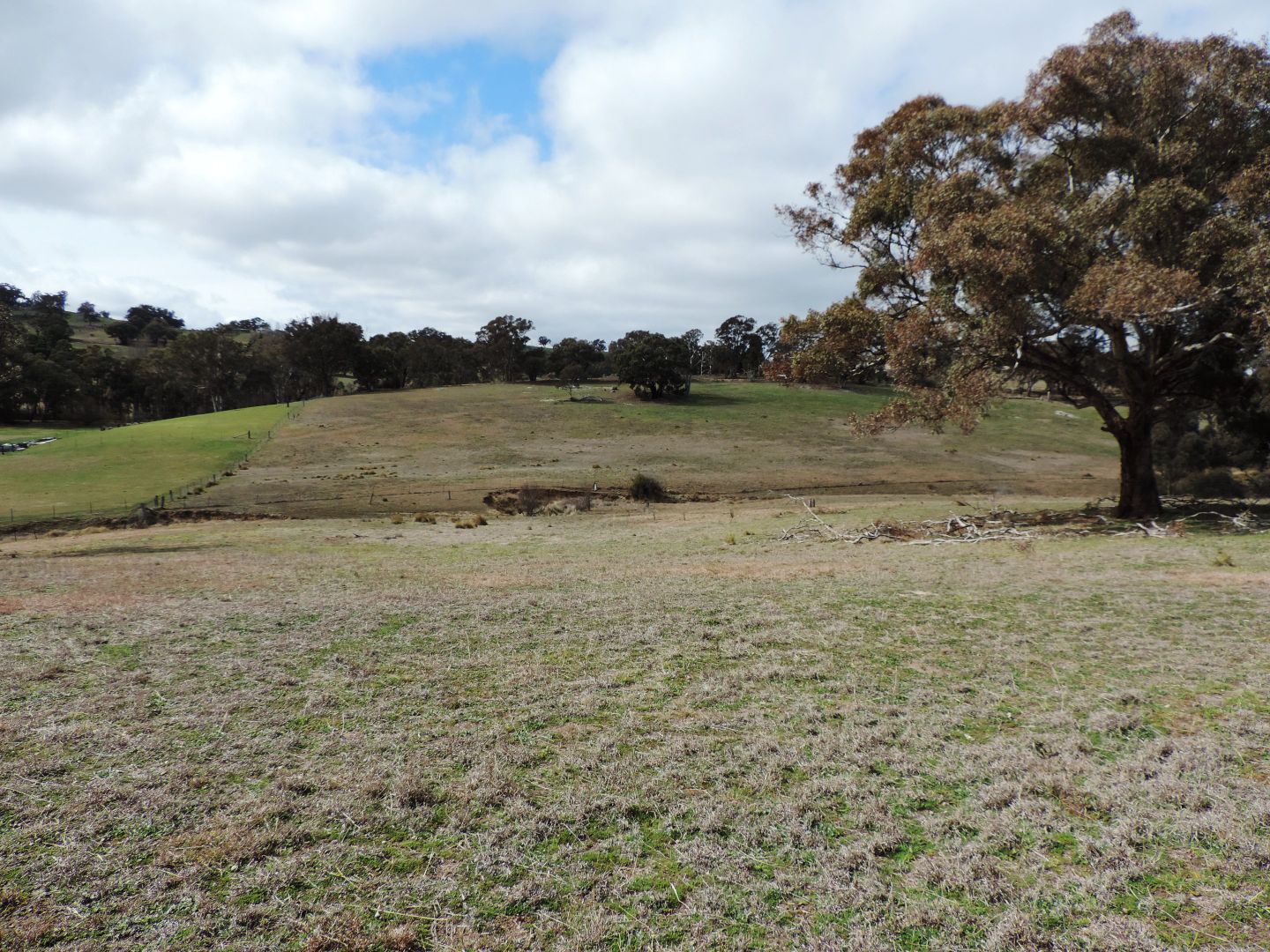 Lot 1 Hailstone Street, Bigga NSW 2583, Image 1