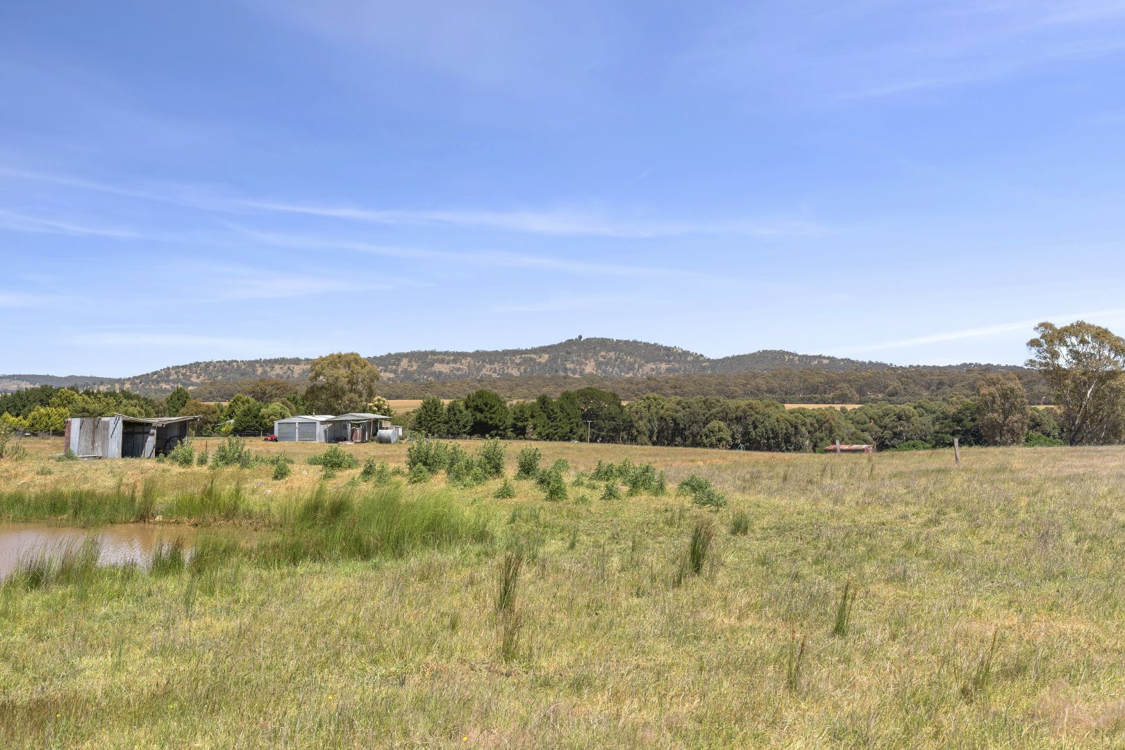 245 Learmonth Road, Clunes VIC 3370, Image 1