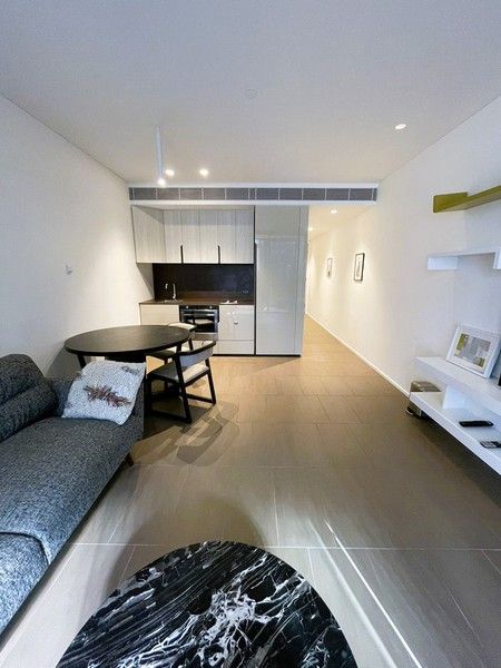 1 bedrooms Apartment / Unit / Flat in 501/8 Central Park Avenue CHIPPENDALE NSW, 2008