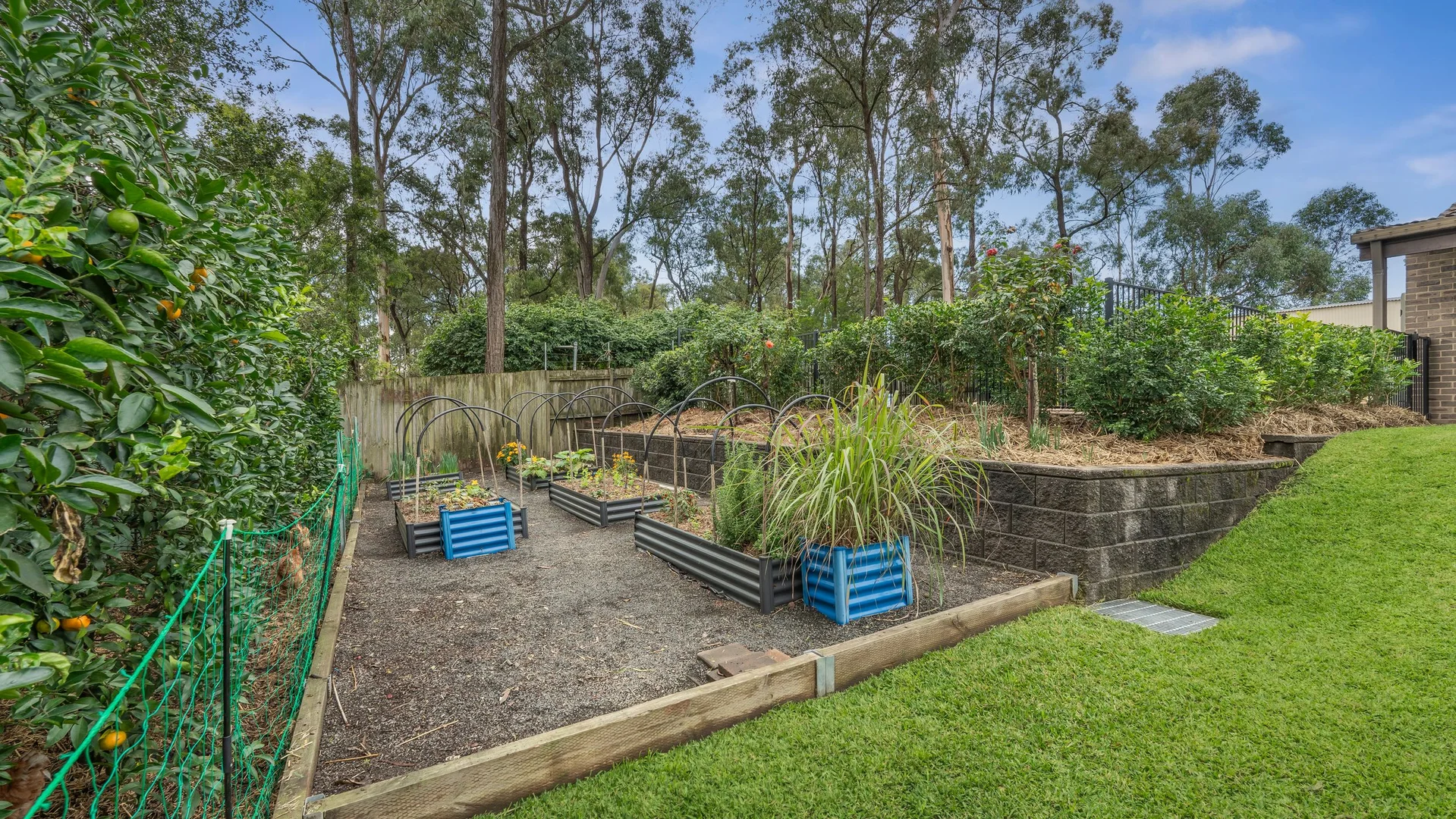 Image 13