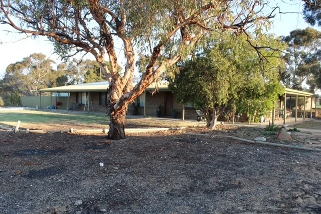 Image 13