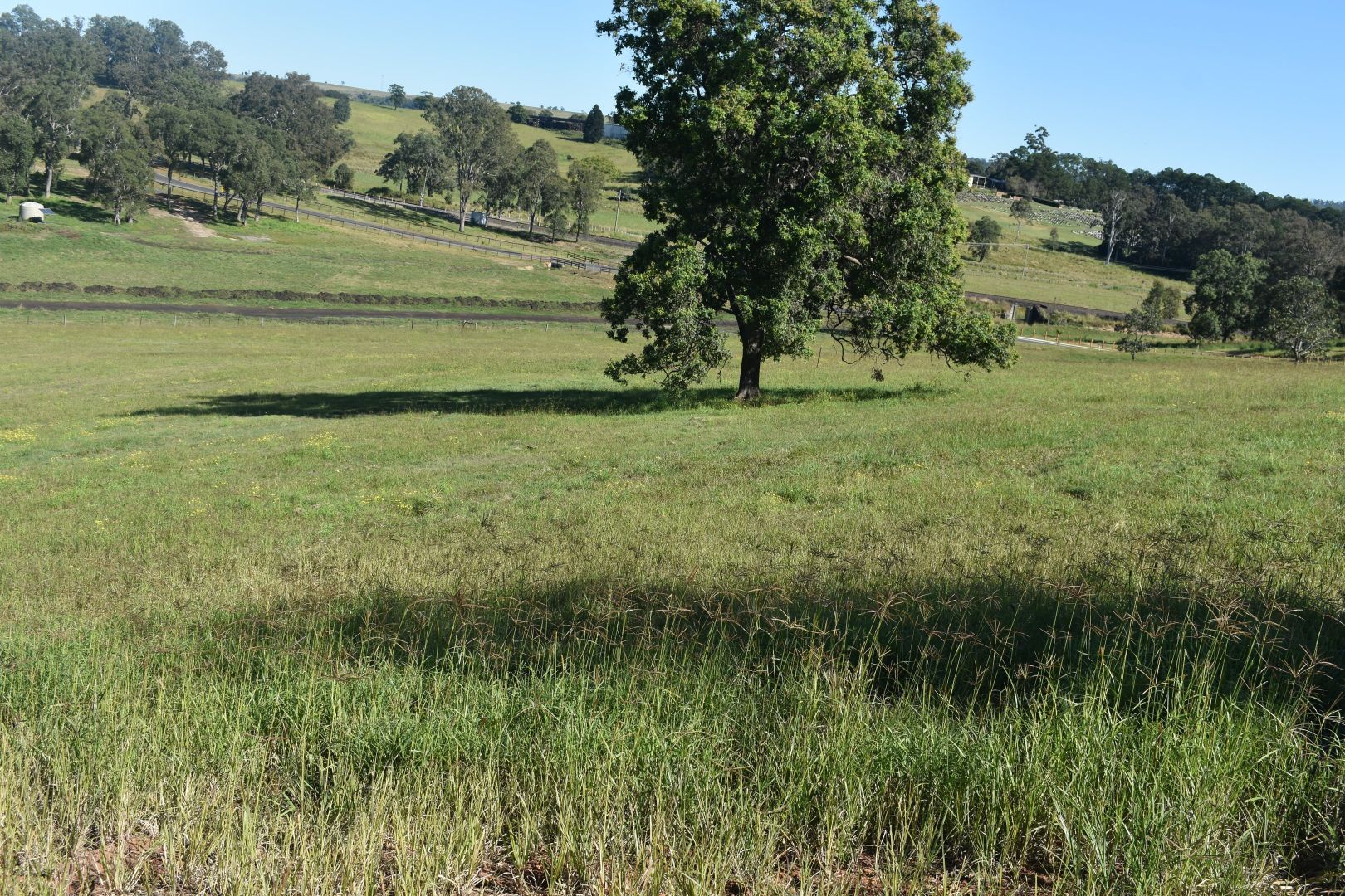 Lot 4 Wandii Court, Kyogle NSW 2474, Image 1