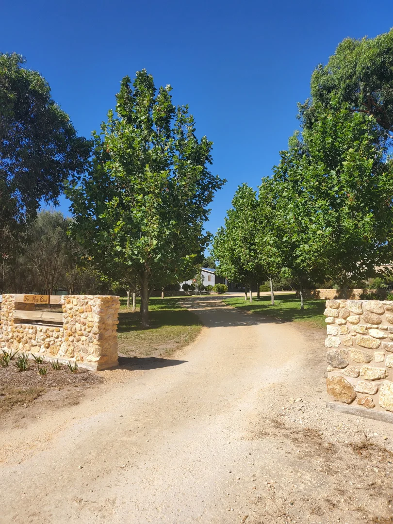 Image 21