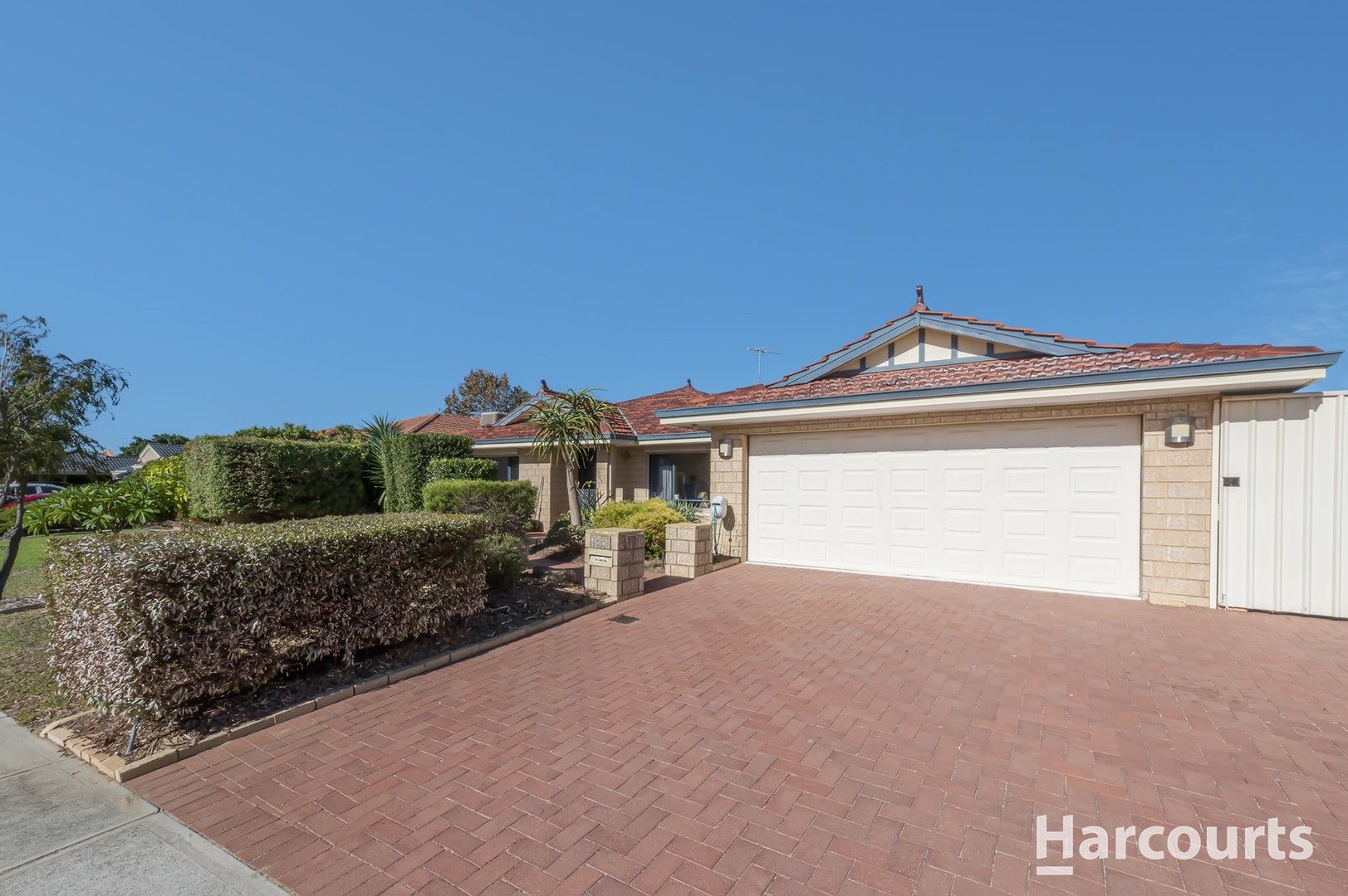 109 Caledonia Avenue, Currambine WA 6028 House For Rent 900 Domain