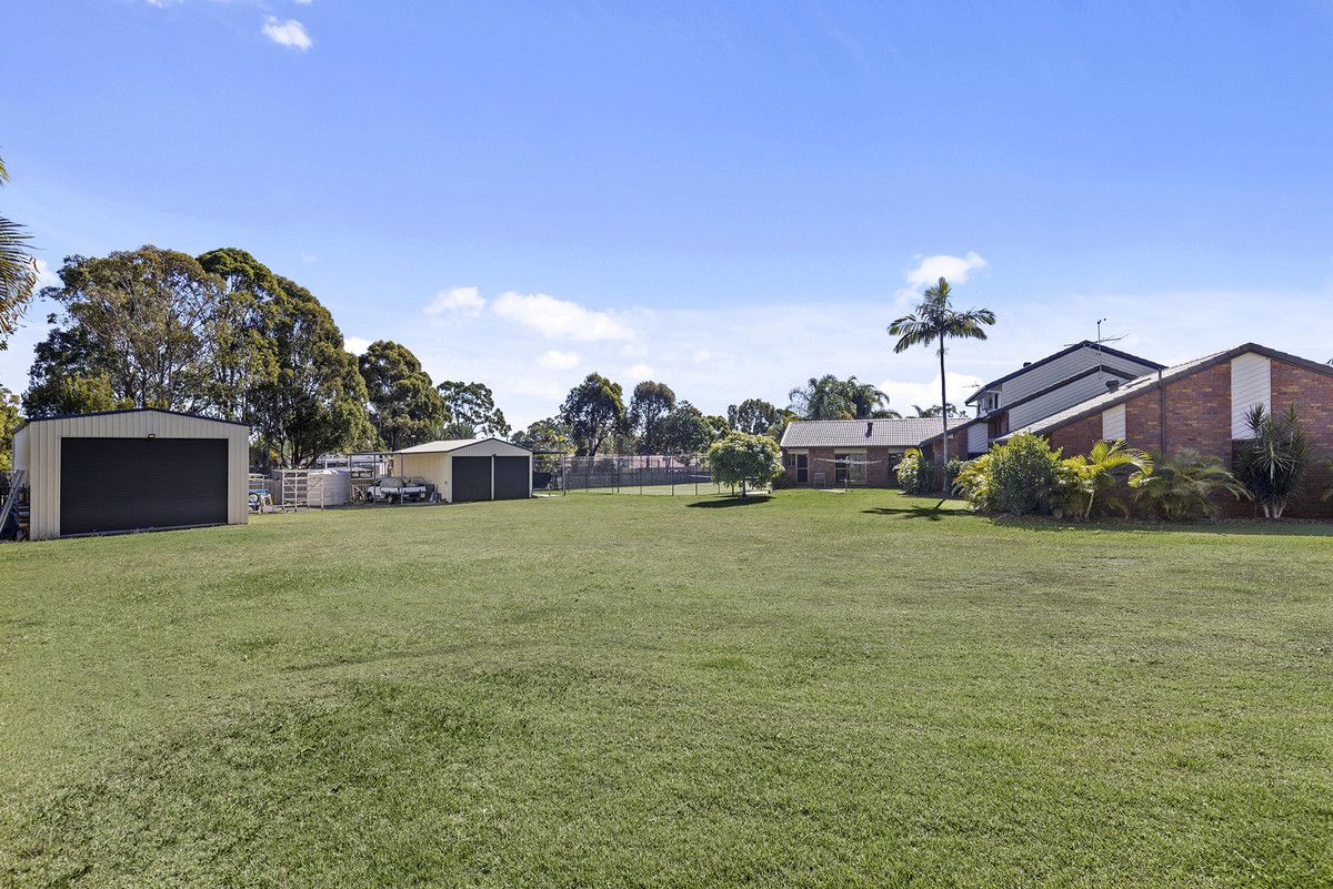 3 Dartmouth Court, Birkdale QLD 4159, Image 2