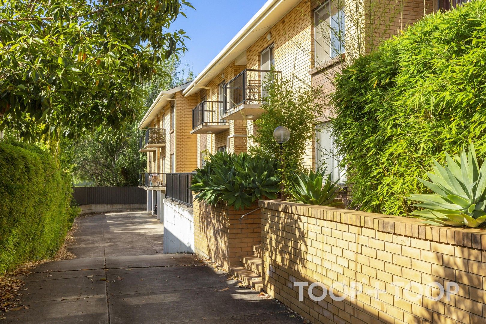 7/241 Young Street, Unley SA 5061, Image 0