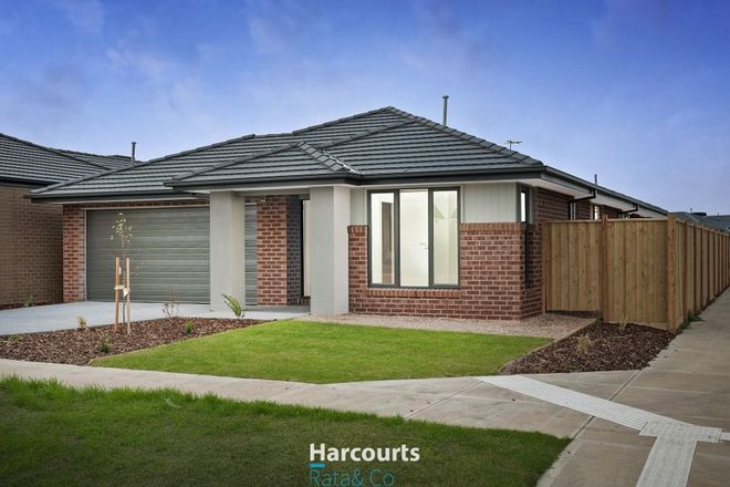 Picture of 33 Cavalier Street, WYNDHAM VALE VIC 3024