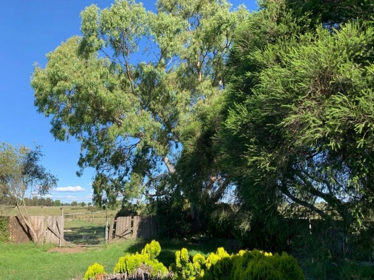 Additional image 12 of 60 Mitchell Street, Kalkallo VIC 3064