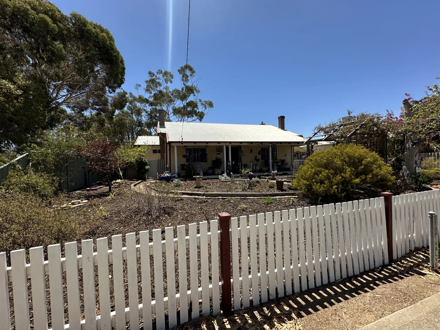 Image 31