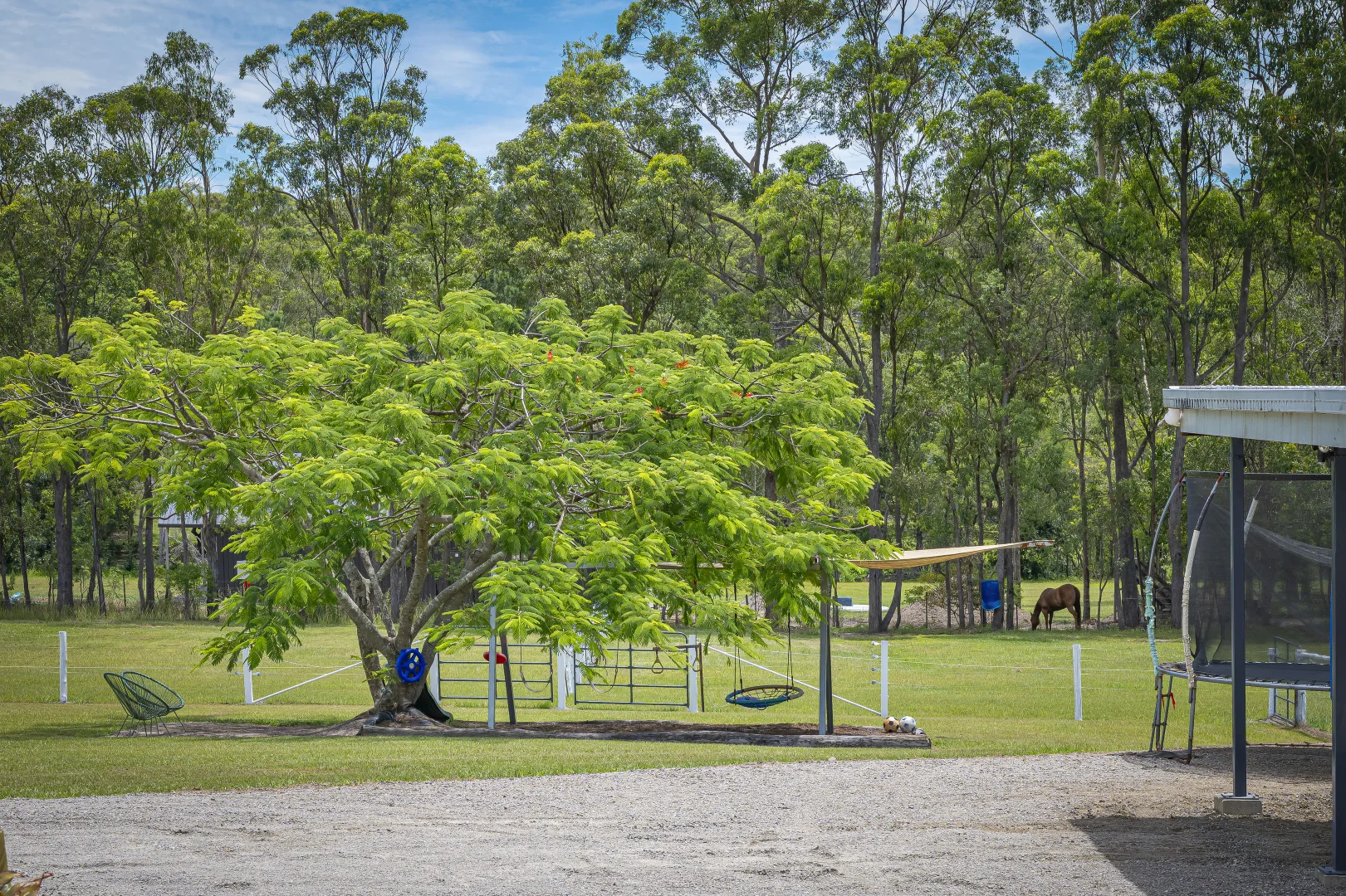 Image 25