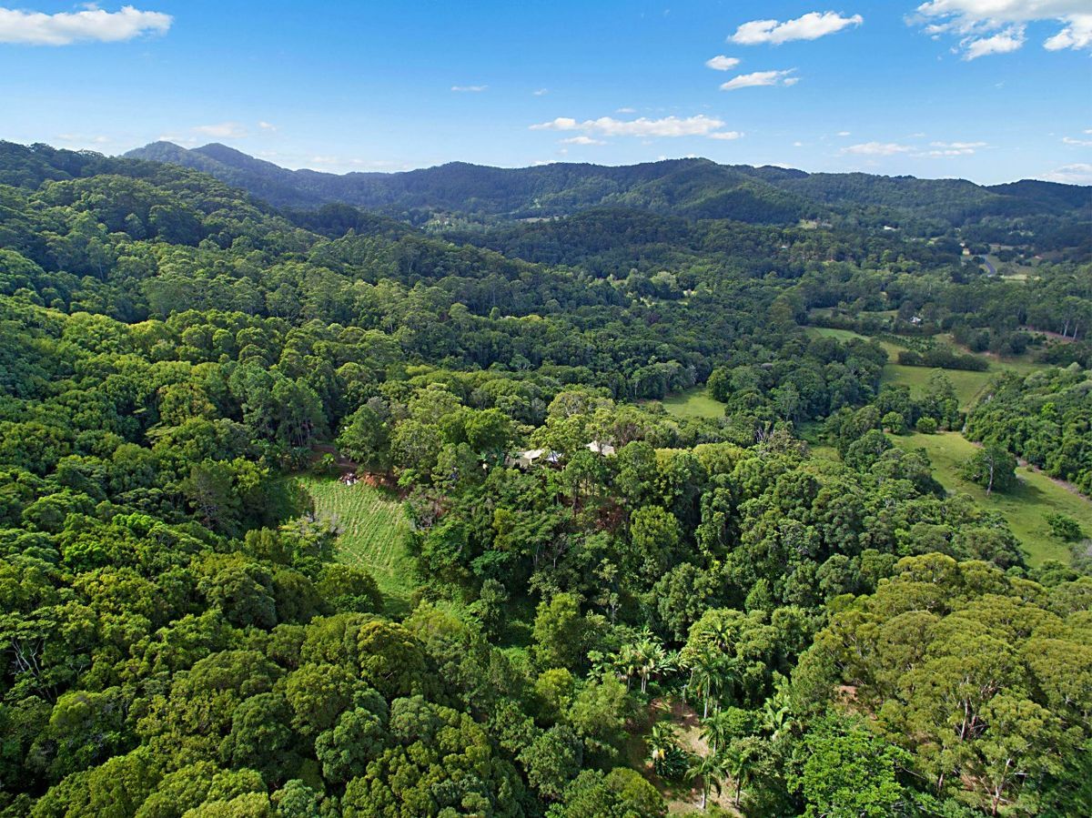 Lot 3 103 Dixons Road, Burringbar NSW 2483, Image 1