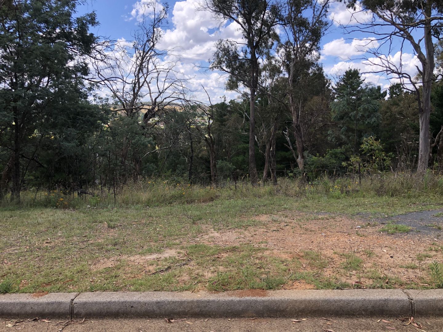 Walcha NSW 2354 vacant land for Sale, 125,000 2018318616 Domain