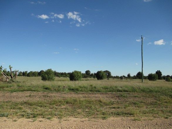 LOT 4 GAZZARDS ROAD, Tara QLD 4421, Image 1