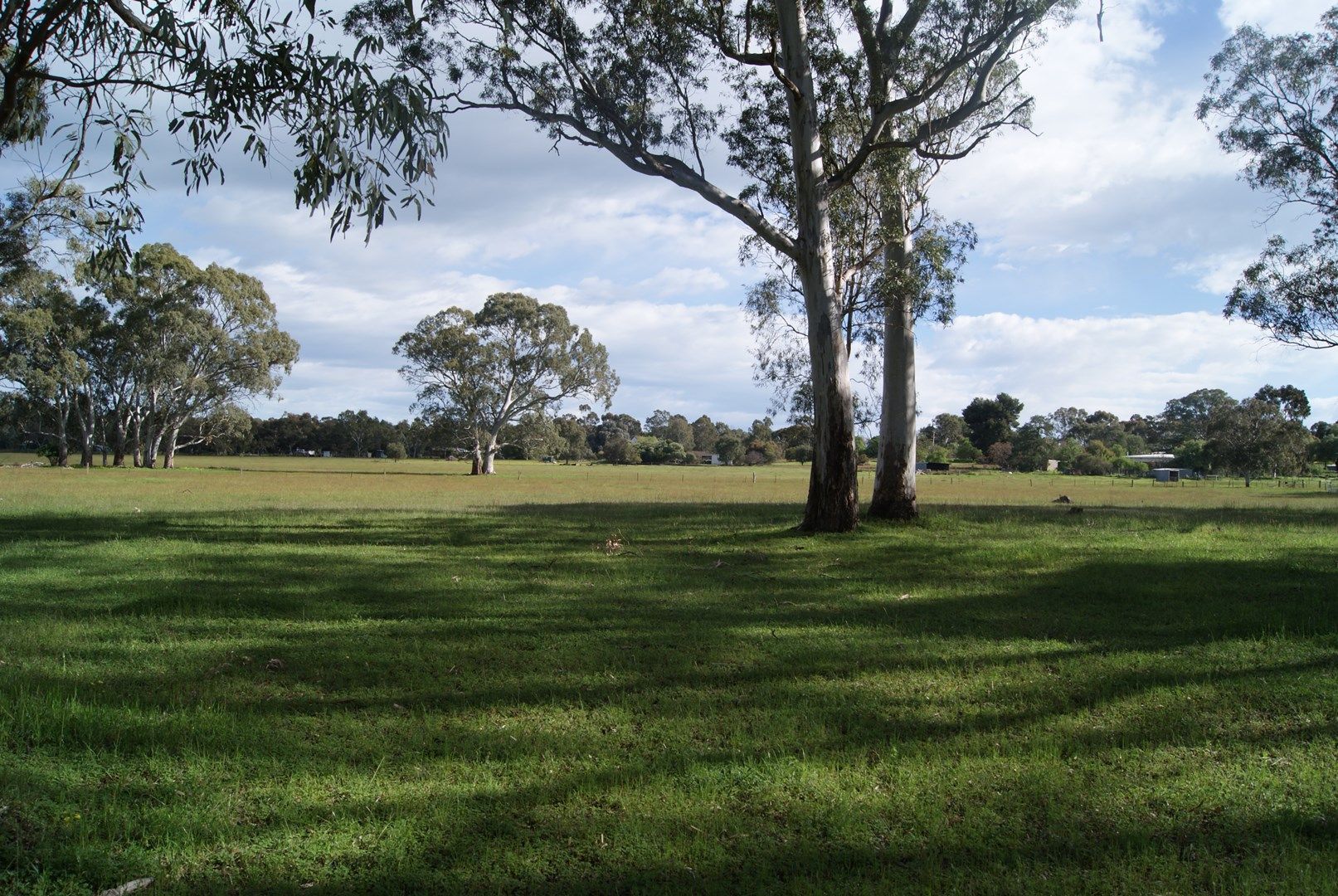 Lot 102 Williamstown Road, Cockatoo Valley SA 5351, Image 0