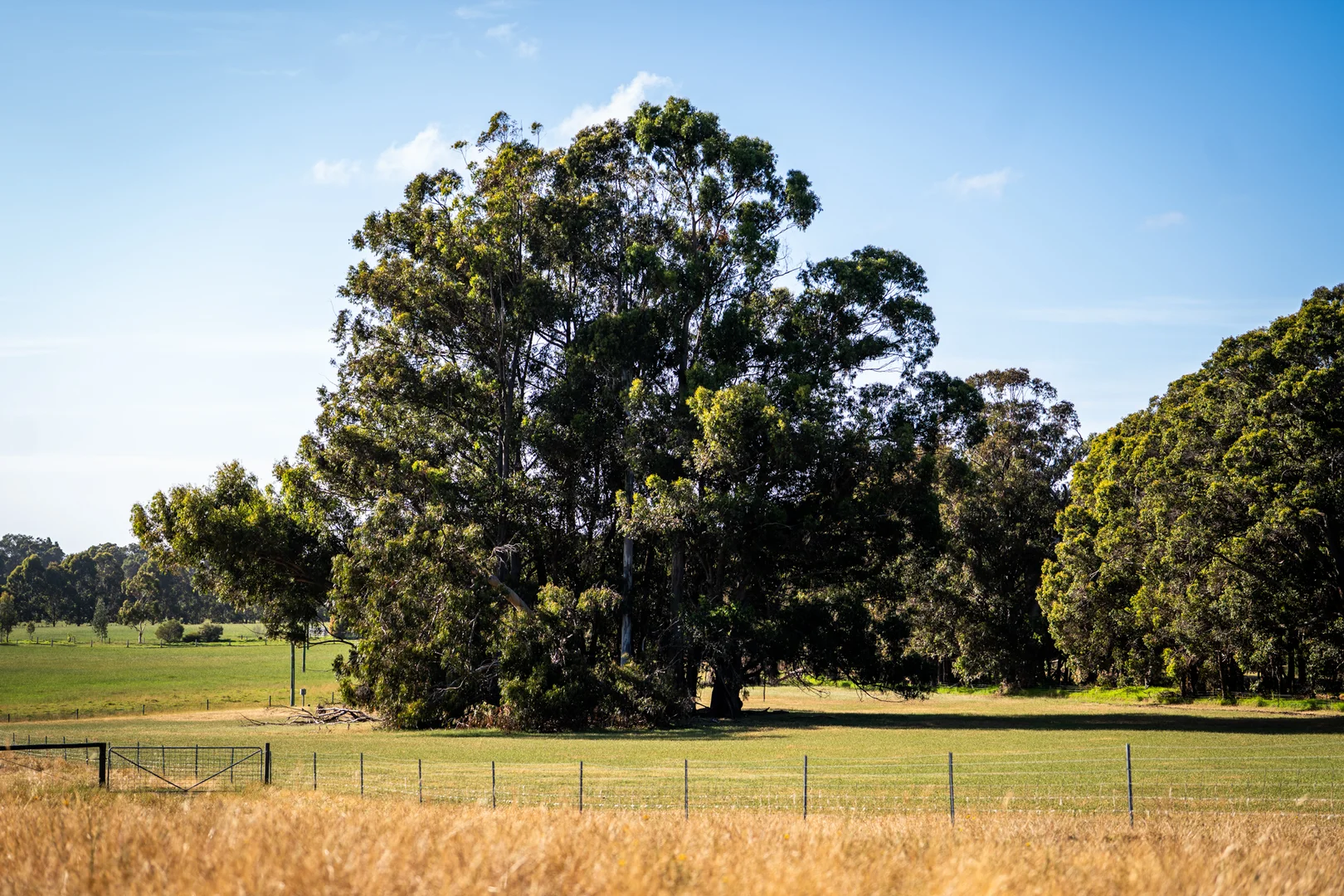 Image 21